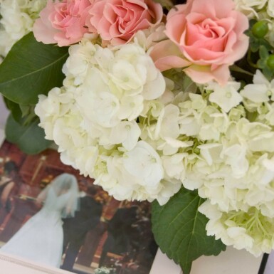 Hydrangea macrophylla 'The Bride' C1,5 10-15