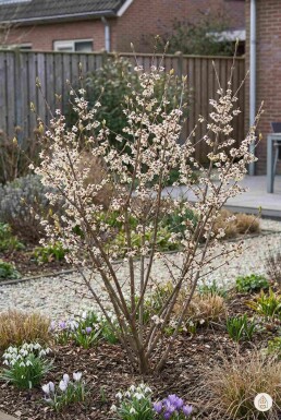 Ingen bild tillgänglig