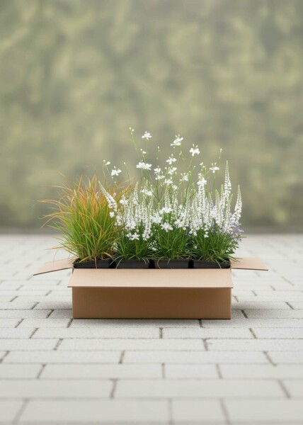 Sommarbris Mix