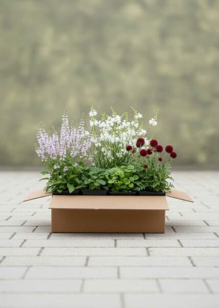 Viskande Blommor