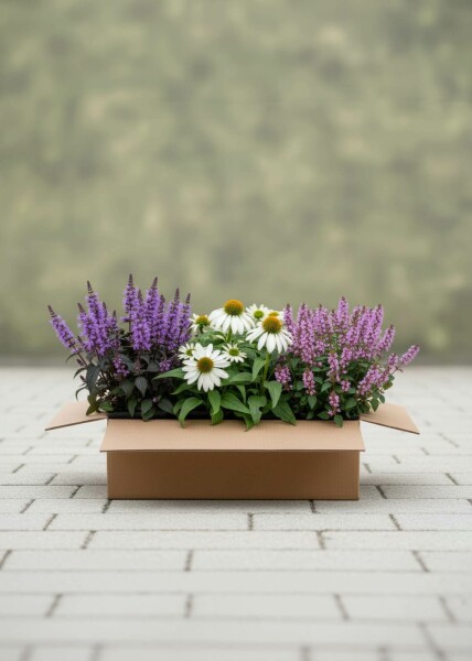 Sommarbalans Mix
