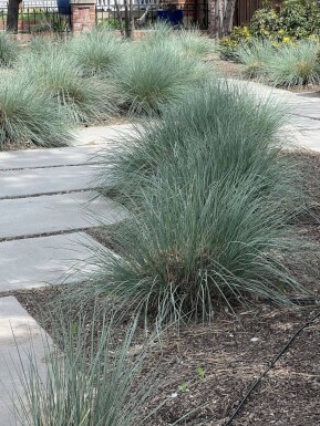 Ingen bild tillgänglig