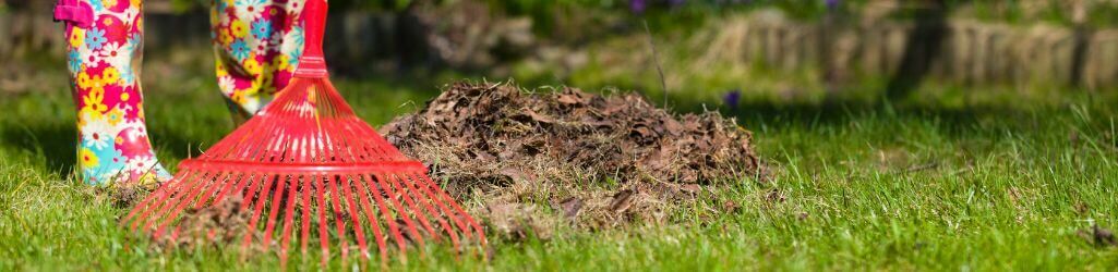 Så använder du höstlöv på ett smart sätt som naturligt skydd för din trädgård image