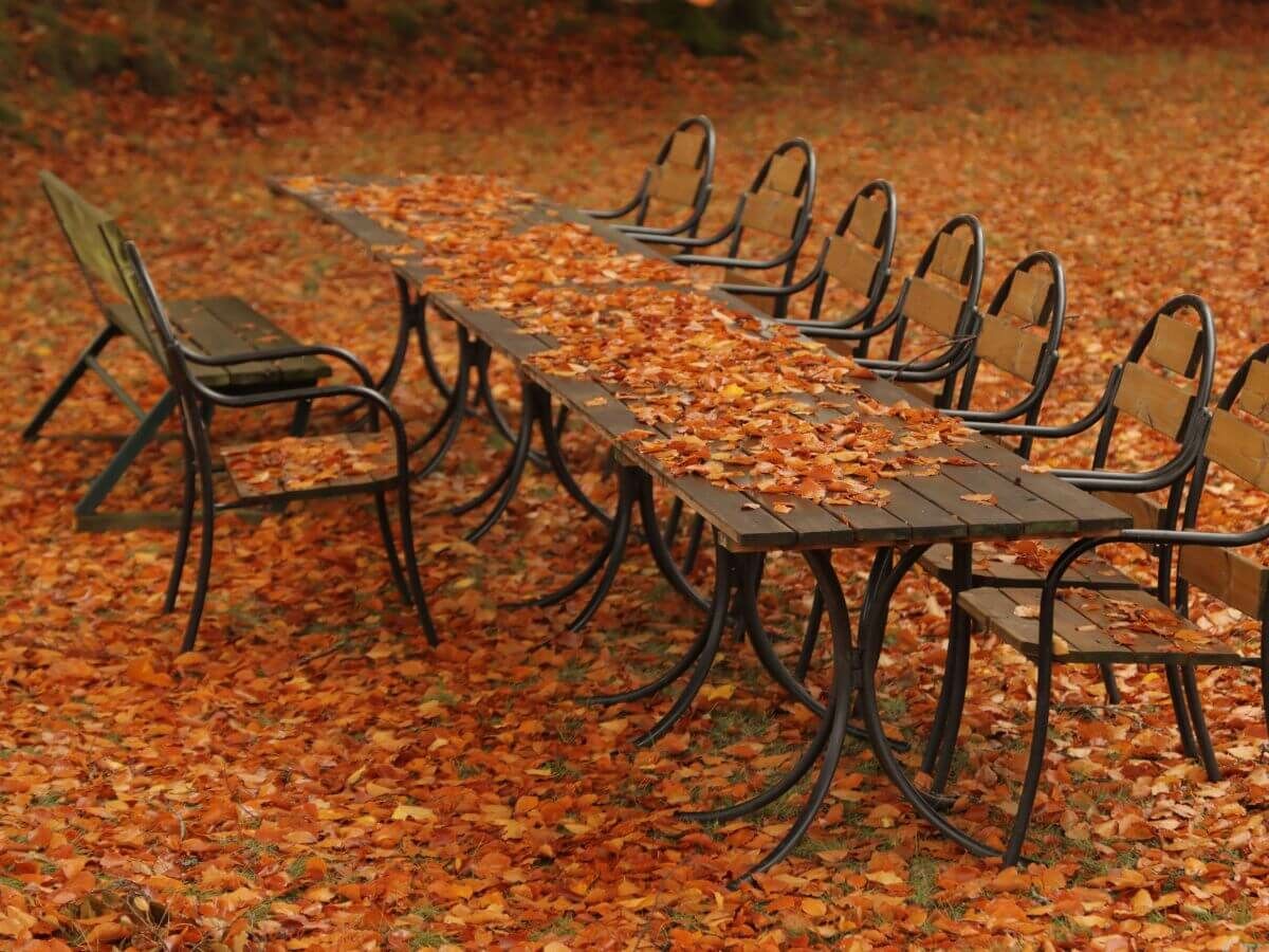 Så använder du höstlöv på ett smart sätt som naturligt skydd för din trädgård image