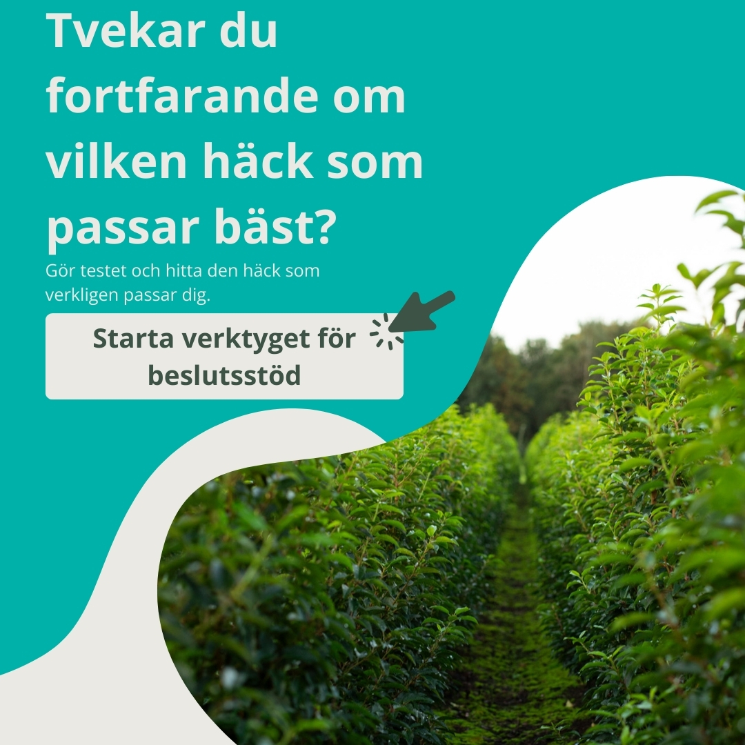 Vägledning