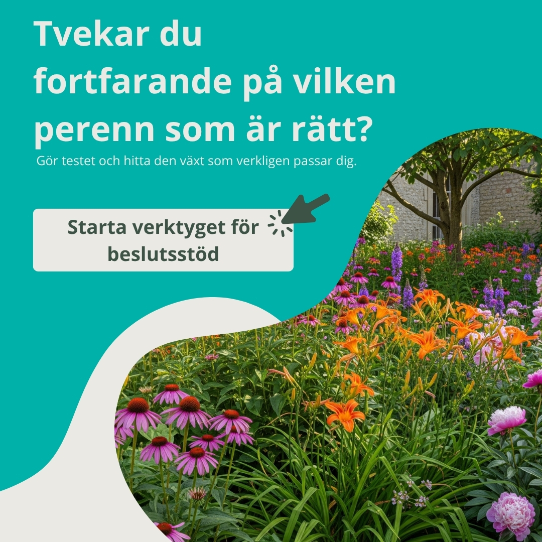 Starta beslutsstöd