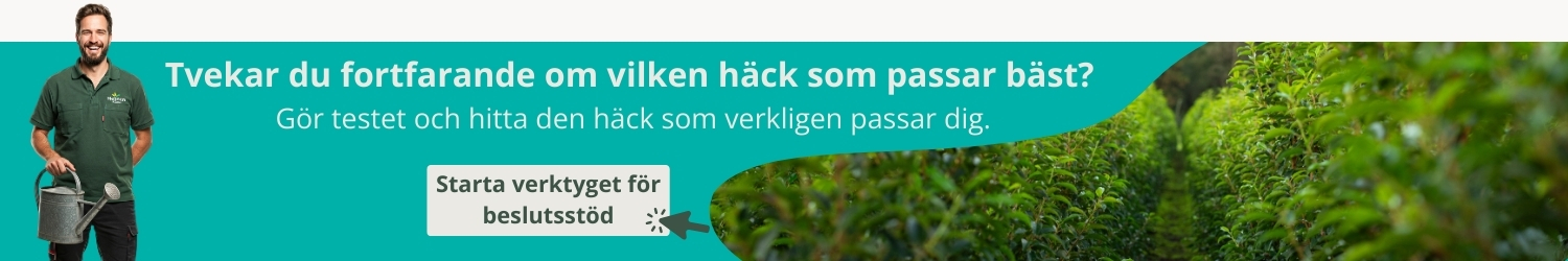 Vägledning